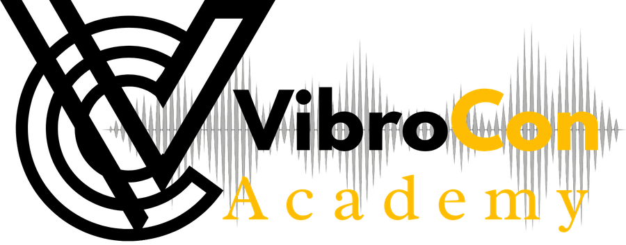 VibroCon Academy