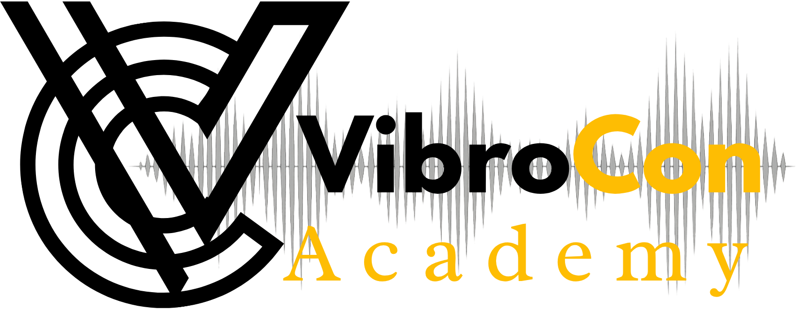 VibroCon Academy